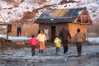 small_reeses 022.webp